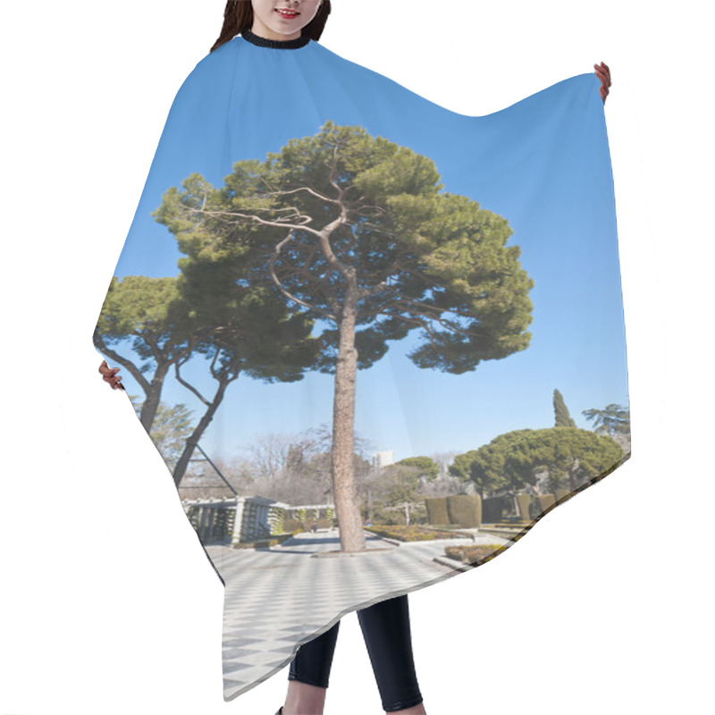 Personality  Pine Tree Hair Cutting Cape