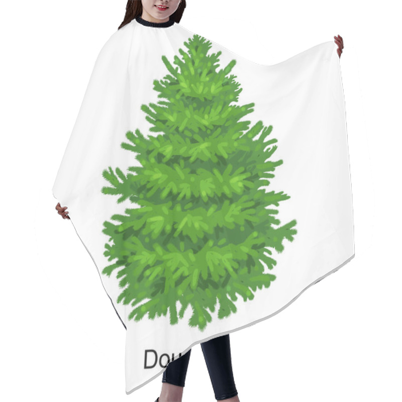 Personality  Christmas Vector Tree Like Douglas Fir For New Year Celebration Without Holiday Decoration, Evergreen Xmas Plants Hair Cutting Cape