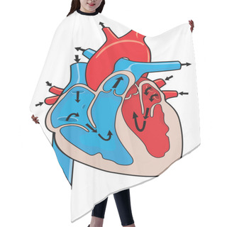 Personality  Medical Illustration Of How The Human Heart Works Hair Cutting Cape