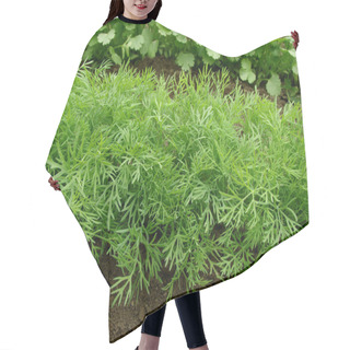 Personality  Growing Dill Hair Cutting Cape