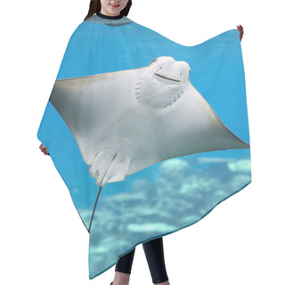 Personality  Bat Ray Hair Cutting Cape