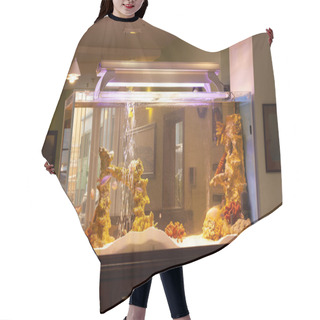 Personality  Aquarium With Fish With Glowing Yellow Light Lamp On Top In Dark Room. Hair Cutting Cape