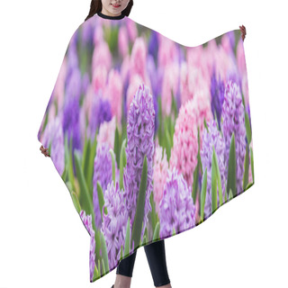 Personality  Large Flower Bed With Multi-colored Hyacinths, Traditional Easter Flowers, Flower Background, Easter Background Hair Cutting Cape
