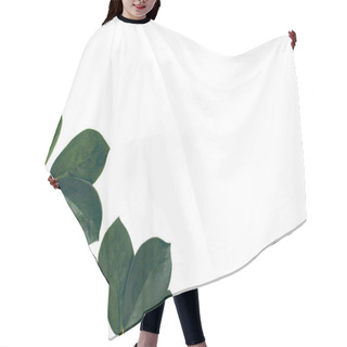 Personality  Ficus Leaves With Copy Space Hair Cutting Cape