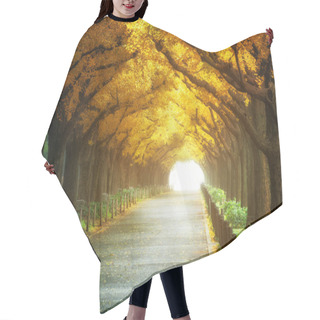 Personality  Beautiful Road Path Under Trees Arch In Autumn Hair Cutting Cape