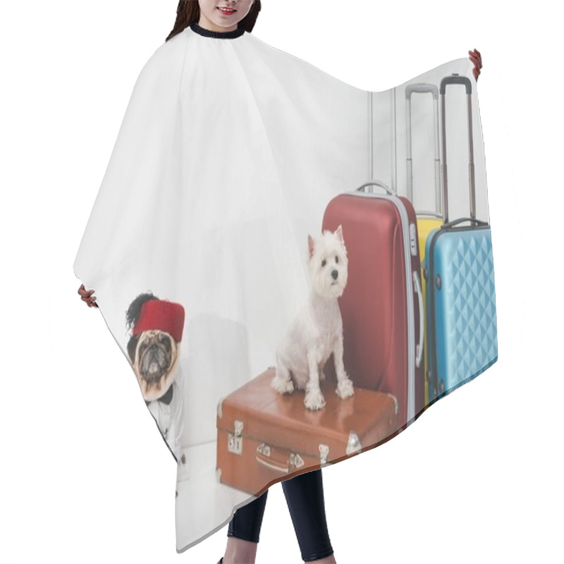 Personality  Dogs With Suitcases Hair Cutting Cape