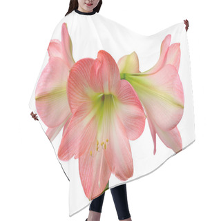 Personality  Blooming Amaryllis Hair Cutting Cape