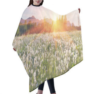 Personality  Dandelions Field At Sunrise Hair Cutting Cape