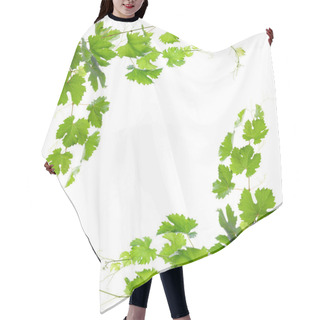 Personality  Vine With Green Leaves. Isolate Hair Cutting Cape
