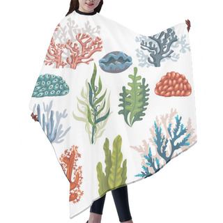 Personality  Set Of Cartoon Corals. Hair Cutting Cape