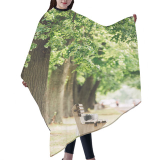 Personality  Selective Focus Of Wooden Bench In Park Near Many Big Trees  Hair Cutting Cape