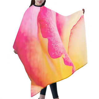 Personality  Roses In Rose Garden Hair Cutting Cape