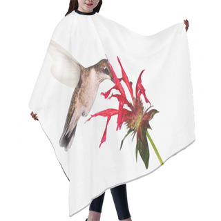 Personality  Hummingbird Food Search Hair Cutting Cape