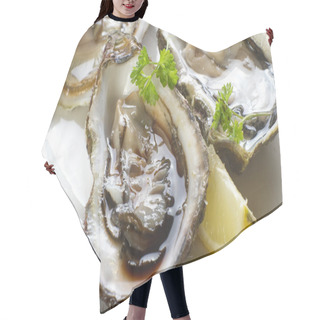 Personality  Fresh French Oyster Hair Cutting Cape
