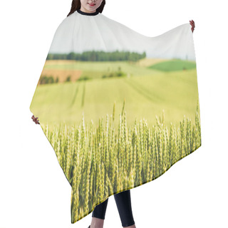 Personality  Cornfield In Upper Austria Hair Cutting Cape