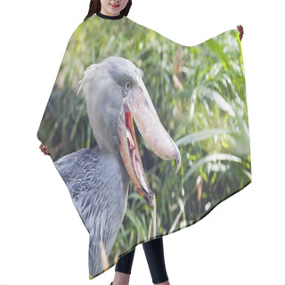 Personality  Shoebill, Whalehead Hair Cutting Cape