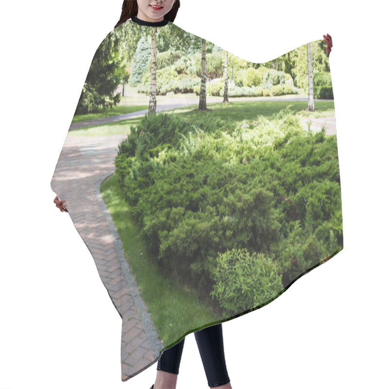 Personality  Walkway Near Green Bushes And Trees With Leaves In Summertime  Hair Cutting Cape