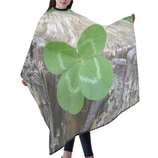 Personality  Four-leaf Clover Flower Brings Good Luck Hair Cutting Cape