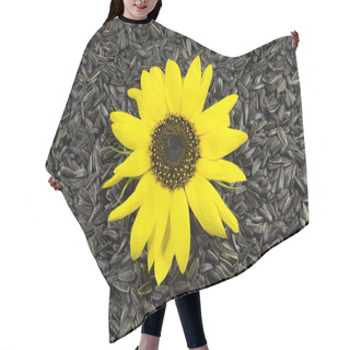 Personality  Beautiful Sunflower On Sunflower Seeds Background Hair Cutting Cape