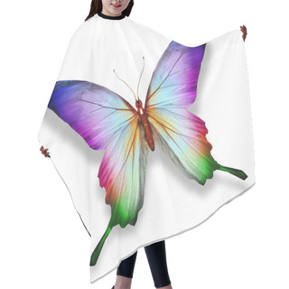 Personality  Colorful Butterfly , Isolated On White Hair Cutting Cape