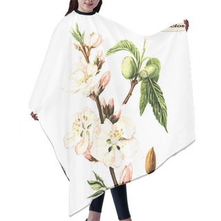 Personality  Watercolor Almonds Hair Cutting Cape