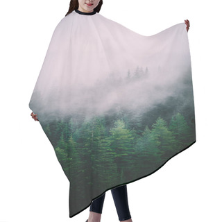 Personality  Beautiful Foggy Mystic Mountains. Fog Clouds At The Pine Tree Mystical Woods, Morning. Europe, Mysterious Alpine Landscape. Hair Cutting Cape