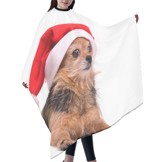Personality  Christmas Dog Wearing Red Santa Hat Hair Cutting Cape