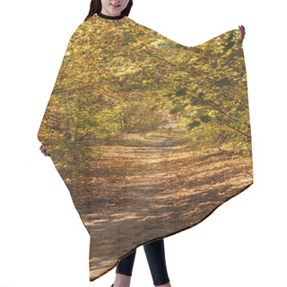 Personality  Scenic Autumnal Forest With Golden Foliage And Pathway In Sunlight Hair Cutting Cape