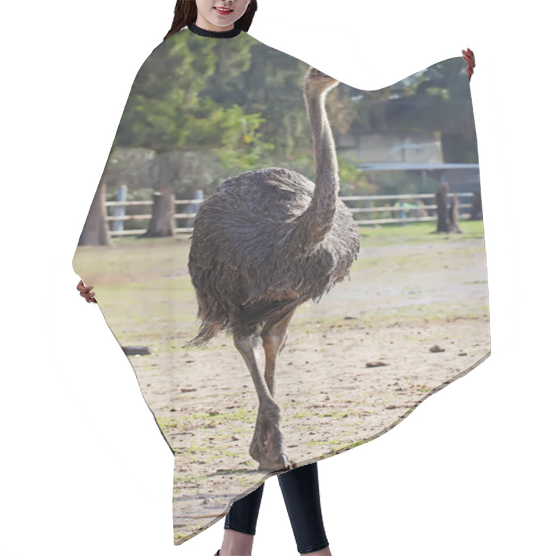 Personality  Ostrich Hair Cutting Cape