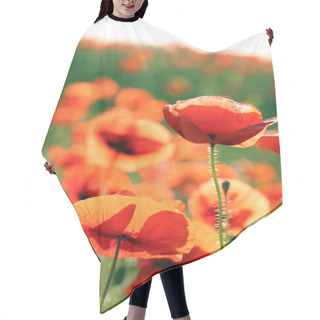 Personality  Bright Red Poppy Flowers Hair Cutting Cape