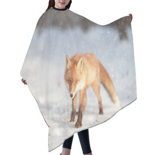 Personality  Cute Red Fox In Forest Hair Cutting Cape