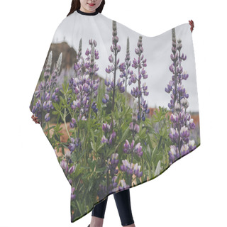 Personality  Lupines Hair Cutting Cape