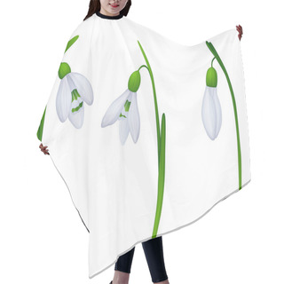 Personality  Snowdrops Hair Cutting Cape
