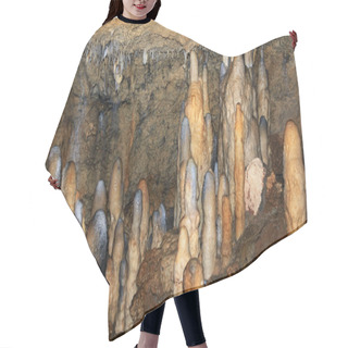 Personality  Harrison's Caves Hair Cutting Cape