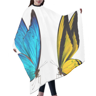 Personality  Butterfly Macro Background Hair Cutting Cape