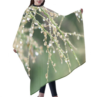 Personality  Fresh Grass With Dew Drops Hair Cutting Cape