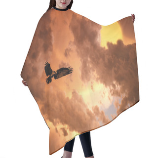 Personality  A Sunset Hair Cutting Cape