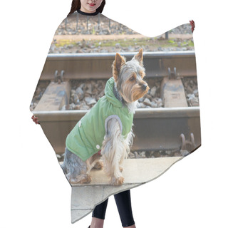 Personality  Yorkshire Terrier Hair Cutting Cape