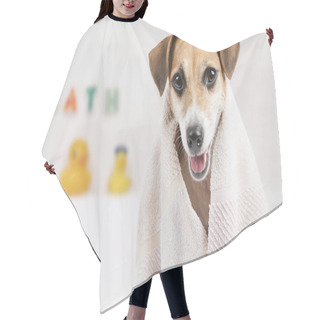 Personality  Clean Pet Hair Cutting Cape