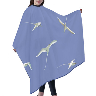Personality  White-tailed Tropicbird Flying In The Sky. Hair Cutting Cape