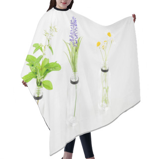 Personality  Salvia, Hyacinth And Chamomile Plants In Transparent Bottles On White Background  Hair Cutting Cape
