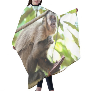 Personality  Monkey On The Branch Hair Cutting Cape