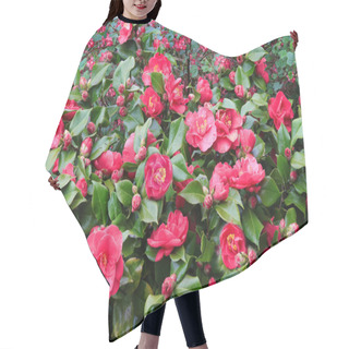 Personality  Beautiful Red Camellia Flowers In Full Bloom Hair Cutting Cape