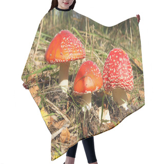 Personality  Poisonous Mushrooms Hair Cutting Cape