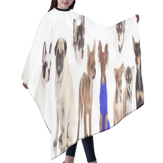 Personality  Group Of Dogs Hair Cutting Cape