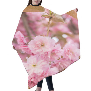 Personality  Close Up View Of Pink Flowers On Branches Of Sakura Cherry Tree Hair Cutting Cape