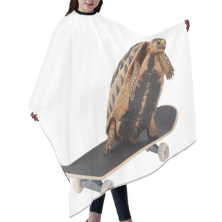 Personality  Fast Tortoise Hair Cutting Cape