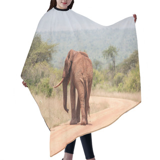 Personality  Elephant Hair Cutting Cape