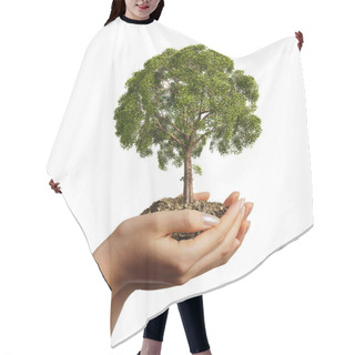 Personality  Woman's Hands Holding Soil With A Tree. Hair Cutting Cape