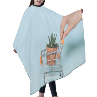 Personality  Cropped Shot Of Human Hand Holding Small Shopping Cart With Green Aloe Plant On Grey Hair Cutting Cape